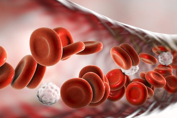 Anemia Symptoms, Causes and Treatment and Low White Blood Cell Count