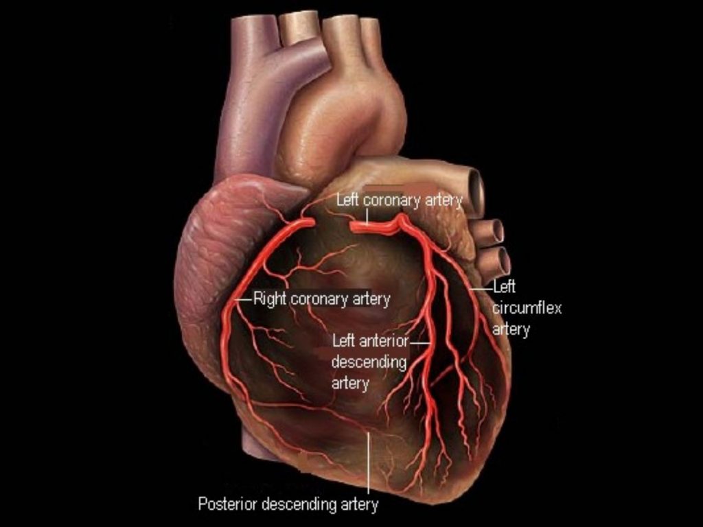 Coronary Heart Disease: Treatment, Symptoms, Causes and Prevention