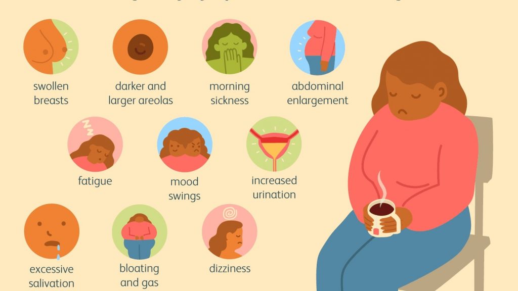 The Pregnancy Symptoms Guide