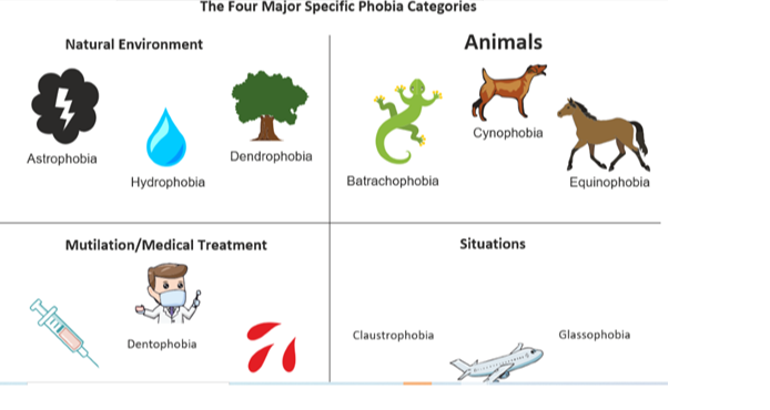 What is a Phobia? Causes, Symptoms and Types of Phobias